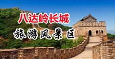 女生的屄免费看操中国北京-八达岭长城旅游风景区