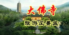 大鸡巴艹美女中国浙江-新昌大佛寺旅游风景区